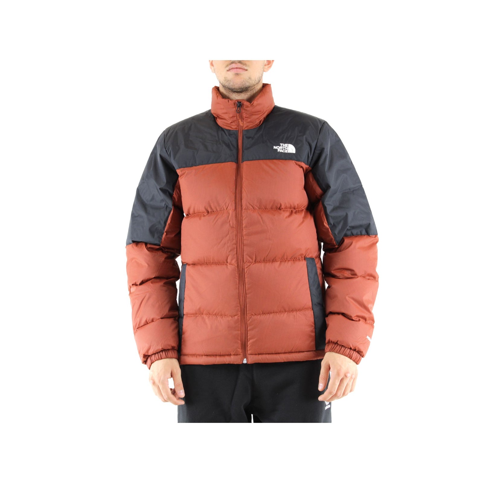 The north face  Giacca#colore_marrone