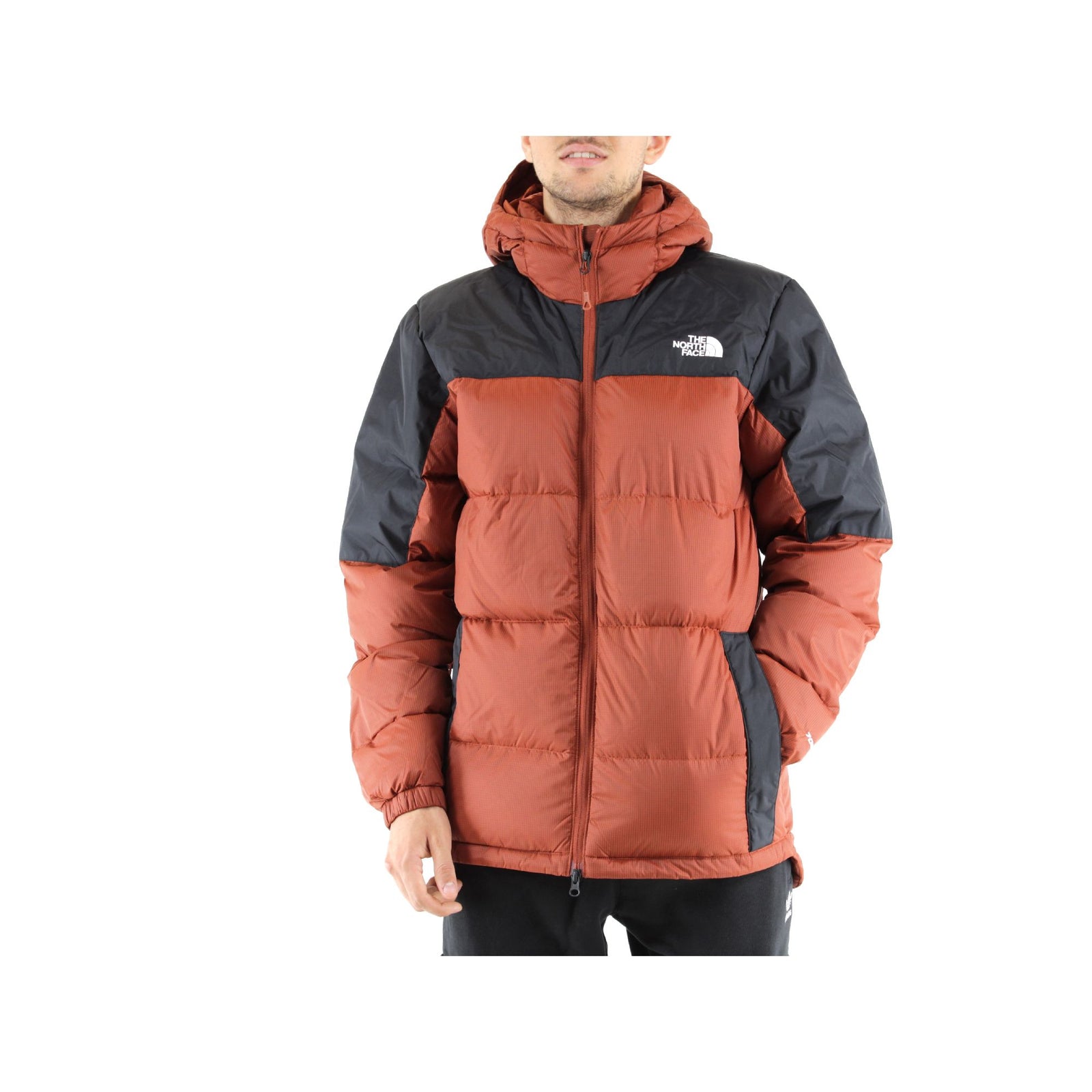 The north face  Giacca#colore_marrone
